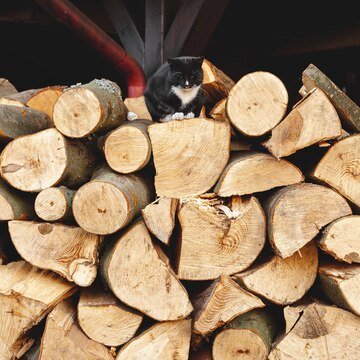 timtum halev firewood