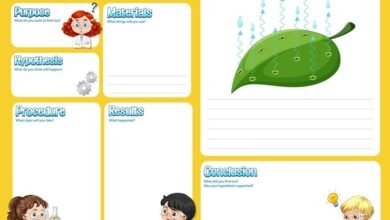 mrs d'ostroph's page