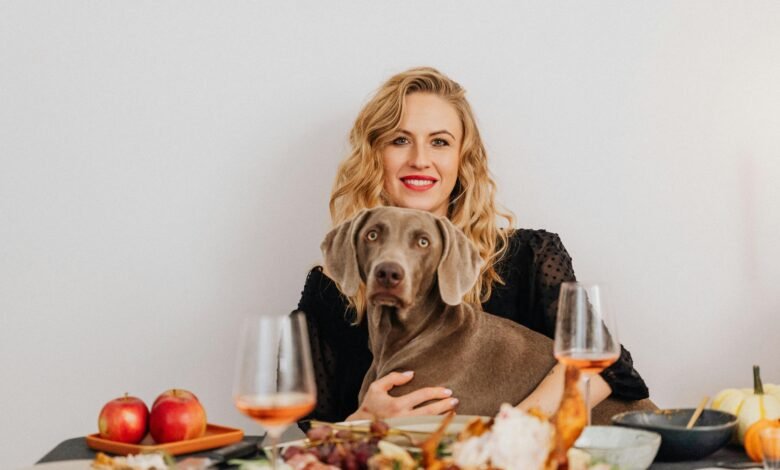 beneful dog food